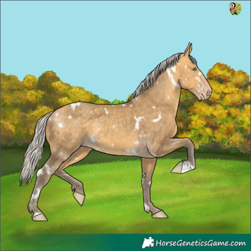Horse Color:White Spotted Silver Sable Cream Champagne 