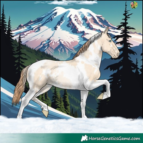 Horse Color:White Spotted Sable Cream Champagne Pearl Tobiano 