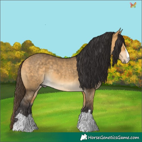 Horse Color:Buckskin Dun Rabicano 