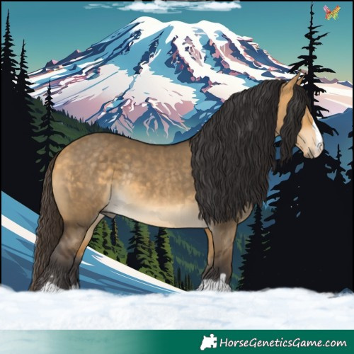 Horse Color:Buckskin Dun Rabicano 
