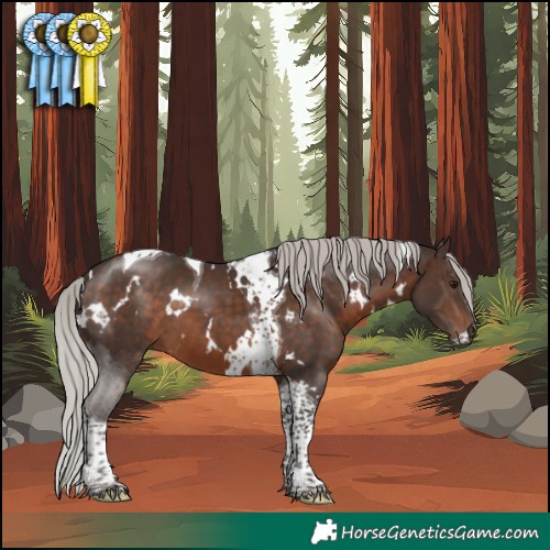 Horse Color:White Spotted Silver Brown Tobiano 