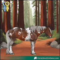 Horse Color:White Spotted Silver Brown Tobiano 