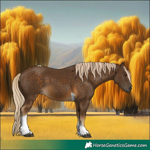 Horse Color:Chocolate Palomino Tobiano 