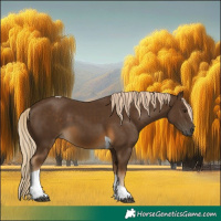 Horse Color:Chocolate Palomino Tobiano