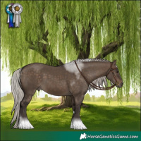 Horse Color:Silver Brown Dun Tobiano 