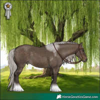 Horse Color:Silver Brown Dun Tobiano 