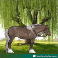 Horse Color:Silver Brown Dun Tobiano
