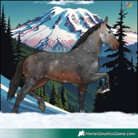 Horse Color:Brown 