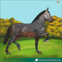 Horse Color:Brown 