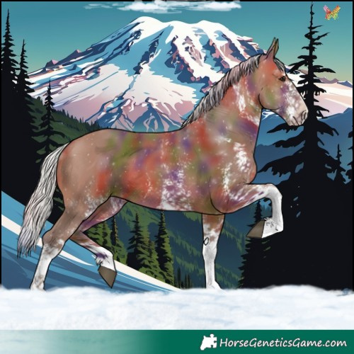 Horse Color:Nacre White Spotted Silver Brown