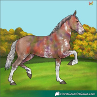 Horse Color:Nacre White Spotted Silver Brown 