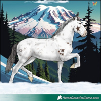 Horse Color:White Spotted Liver Chestnut Sabino