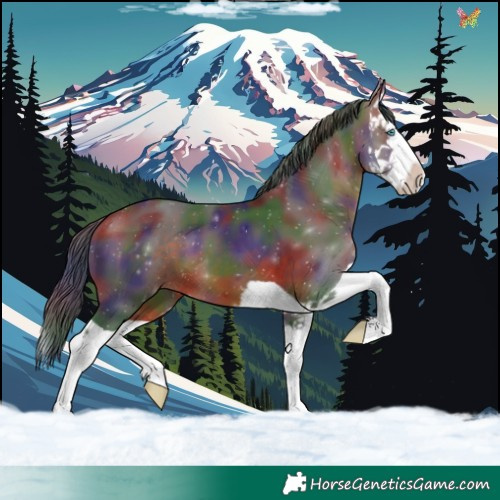 Horse Color:Nacre Brown Splash 