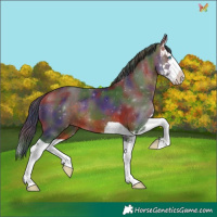 Horse Color:Nacre Brown Splash 