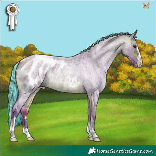 Horse Color:Painted Watercolor Silver Brown Roan Appaloosa 