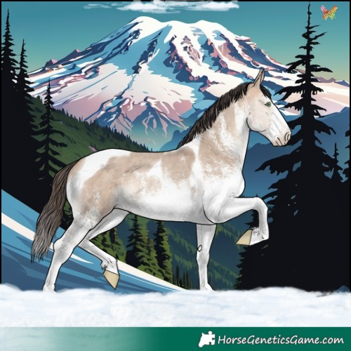 Horse Color:White Spotted Sable Champagne Dun Tobiano Rabicano 