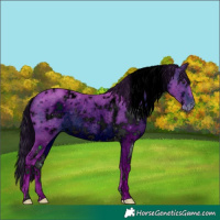 Horse Color:ERROR: UNKNOWN ANOMALY