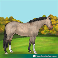 Horse Color:Brown Dun Brindle 