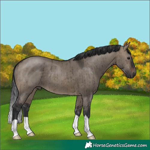 Horse Color:Brown Dun Brindle