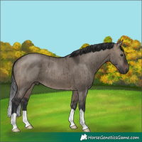 Horse Color:Brown Dun Brindle 