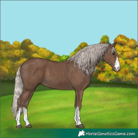 Horse Color:Silver Black 