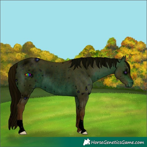 Horse Color:ERROR: UNKNOWN ANOMALY
