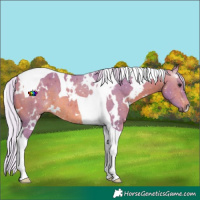 Horse Color:Watercolor White Spotted Silver Brown Tobiano 