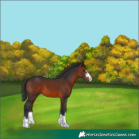 Horse Color:Brown 
