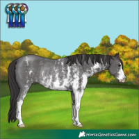 Horse Color:Smoky Black Sabino Rabicano 