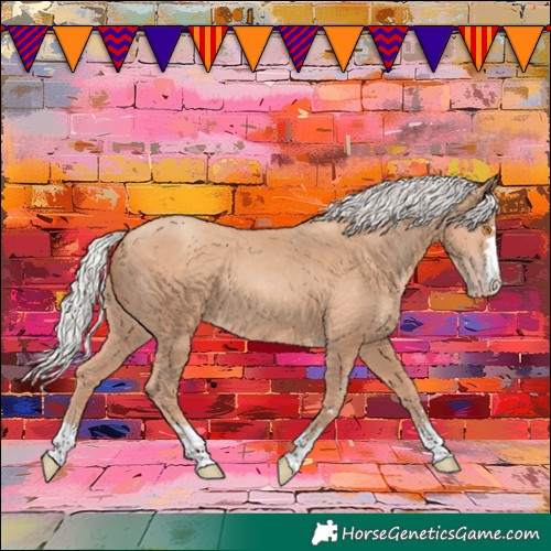 Horse Color:Silver Classic Champagne 