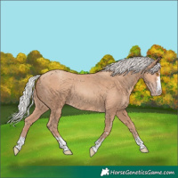 Horse Color:Silver Classic Champagne 