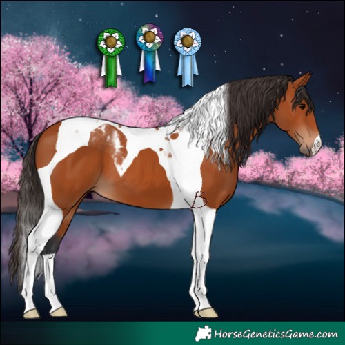 Horse Color:Bay Tobiano 