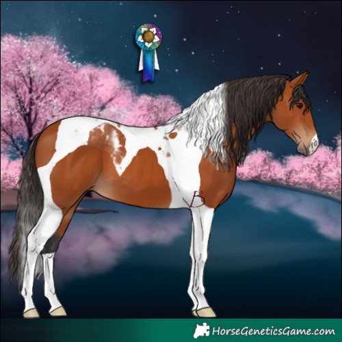 Horse Color:Bay Tobiano 