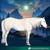Horse Color:Silver Classic Champagne Dun Splash and Silver Classic Cream Champagne Roan Dun Splash Frame