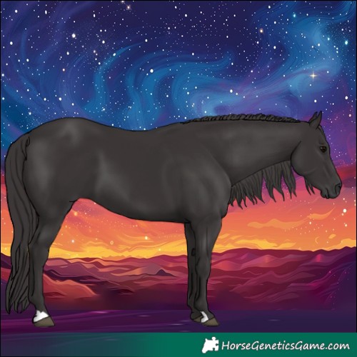 Horse Color:Smoky Black 