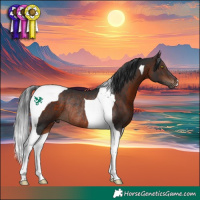 Horse Color:Bay Tobiano Rabicano 