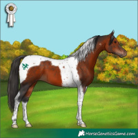 Horse Color:Bay Tobiano 