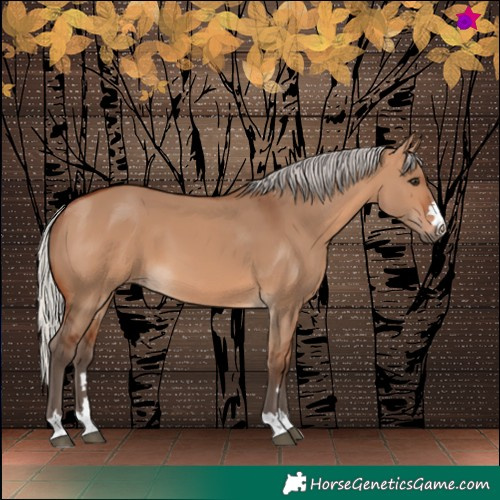 Horse Color:Silver Brown Dun
