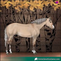Horse Color:Silver Brown Dun 