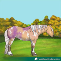 Horse Color:White Spotted Silver Buckskin Dun 