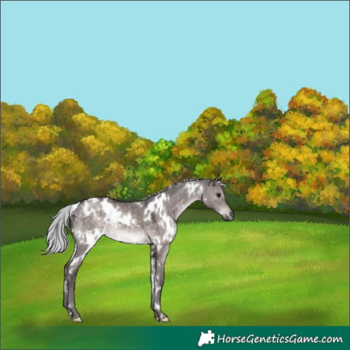 Horse Color:Platinum White Spotted Silver Brown Dun 