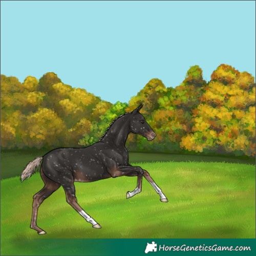 Horse Color:Liver Chestnut Mushroom Snowflake Varnish