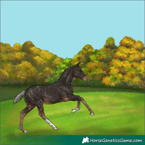 Horse Color:Liver Chestnut Mushroom Snowflake Varnish 