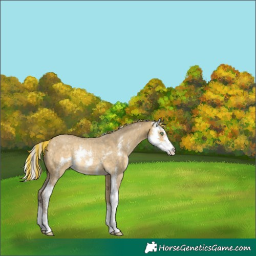 Horse Color:Painted Silver Sable Cream Champagne Dun Sabino 