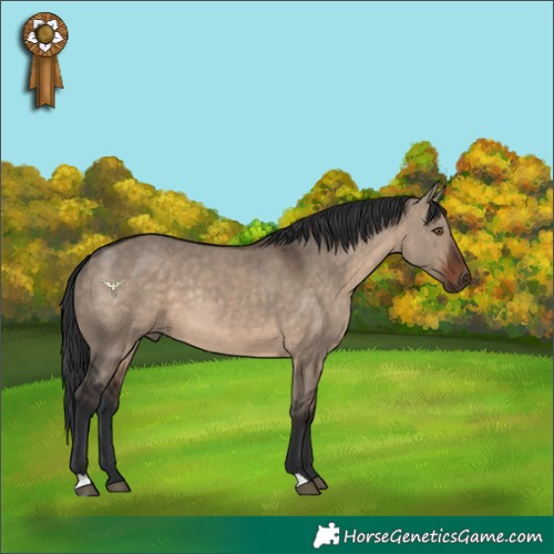 Horse Color:Brown Dun Rabicano 