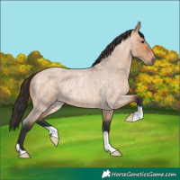 Horse Color:Bay Roan Dun Rabicano