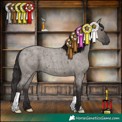 Horse Color:Smoky Grullo Roan 