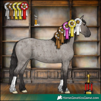 Horse Color:Smoky Grullo Roan