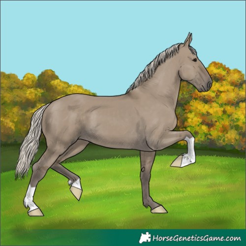 Horse Color:Silver Smoky Grullo