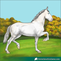 Horse Color:Cremello Dun Sabino Frame 